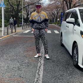 桜　六本木ヒルズ　の画像