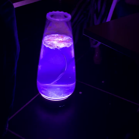 六本木GOLD シーシャボトル　MEDUSEの画像
