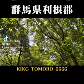 群馬県のお猿さん☆の画像