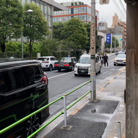 琴登場！！の画像
