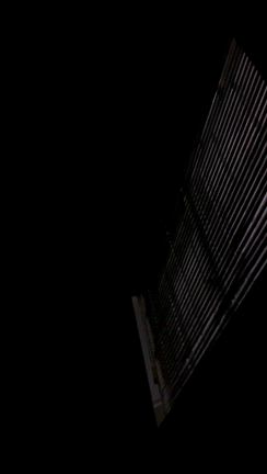 小さな喜びの記事動画