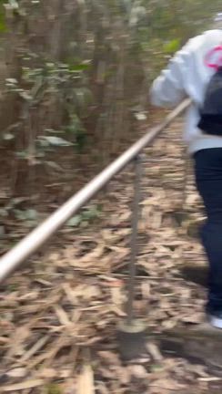 家族の思い出の1つになった試練&教訓&登山の記事動画