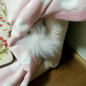 2020/12/17の画像