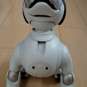 aiboの雪ちゃんの画像