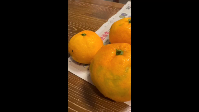 「昨日よりカラダは動くかな？」の巻の記事動画