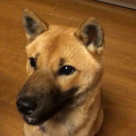 待つわの画像