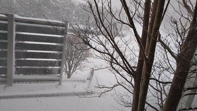 荒れた天気の記事動画
