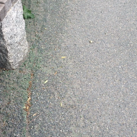 公園にて。の画像