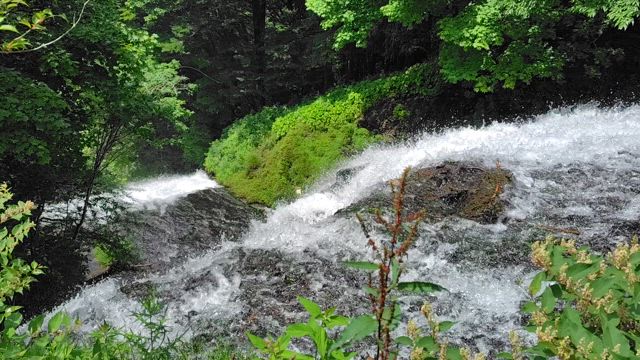 久しぶりのお出かけ···が、ほぼほぼ雨旅　5　湯ノ湖の記事動画