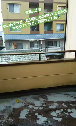 今日は串の日&昨日は…の記事動画
