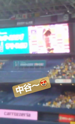 一昨日は野球観戦✌の記事動画