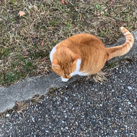 幸せな一歩の画像