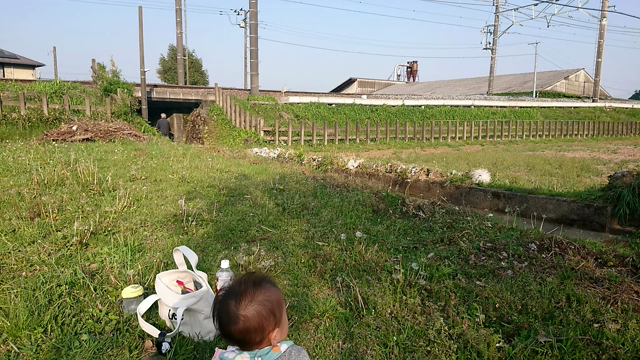 お久しぶりですの記事動画