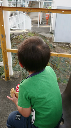 臨月の記事動画