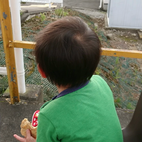 臨月の画像