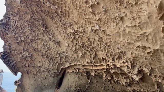 名勝をめぐる(鬼ヶ城)の記事動画