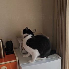 お休みの日の画像