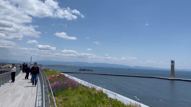 更に減る勉強量&志望校の偏差値は上昇…万博も行ったよ（カオス）の記事動画