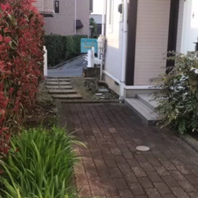 地域猫社会も複雑なようですの画像