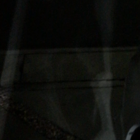 今夜も謎の鳴き声がΣ（・□・；）の画像