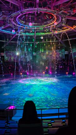 【都会で癒される】仕事帰りに、水族館＠品川でイルカショーを堪能しましたの記事動画