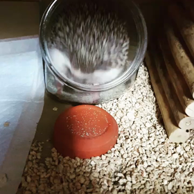 １週間経つの早すぎの画像