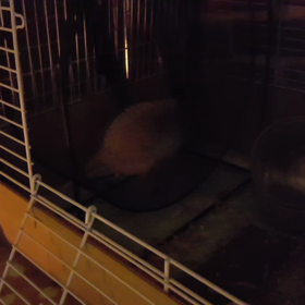 キャラ変まるこの画像