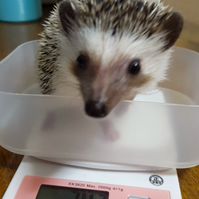 ひたすらスンスンの画像