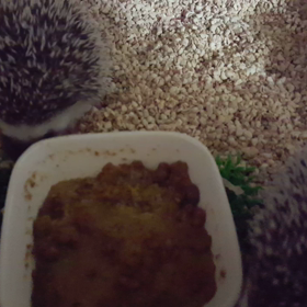 あれ？餌食べてる？の画像