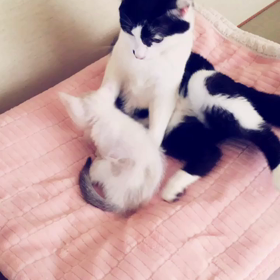おぉ！！の画像