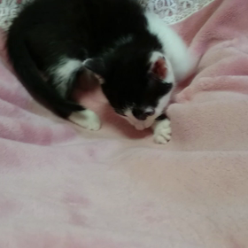 すべり台？の画像