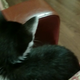 おもいやりの画像