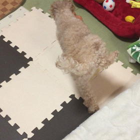 雨&雪の画像