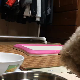 やっと食べてくれたの画像