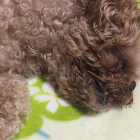 ちょっと苦しそうの画像