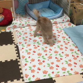 それぞれ   パート２の画像