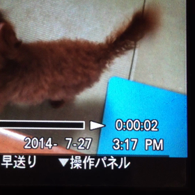 嵐の前の静けさの画像