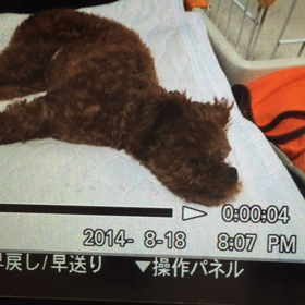 原因不明の画像