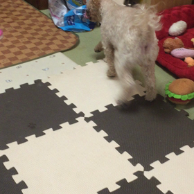 ミルクへの道のりの画像
