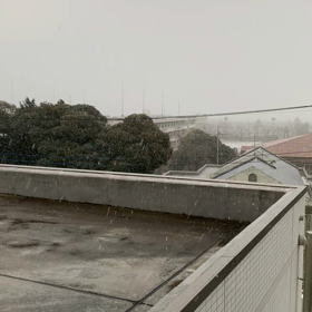 今日は雪が降っていますの画像