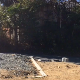 桜移動の画像