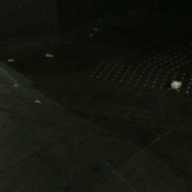 清掃活動　動画編の画像