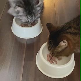おいしい♡の画像