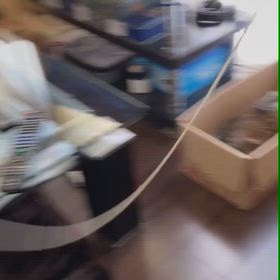 とらこと遊ぶの画像