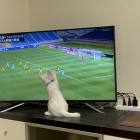 サッカー⚽️参戦❣️の画像