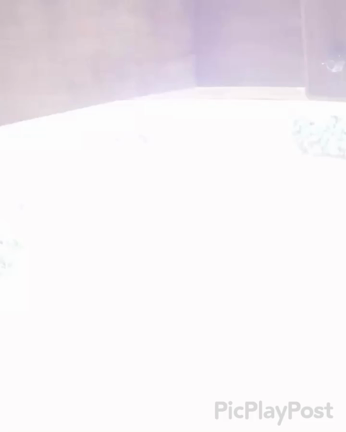 DQNな隣人とその犬の記事動画