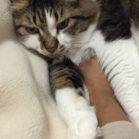 ビックバンドなぼくの画像