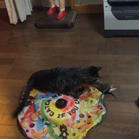 歌ちゃん夢中！の画像