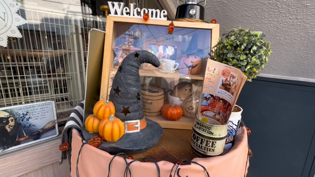 【谷中本店】ハロウィンがもうすぐやってくる❗️の記事動画