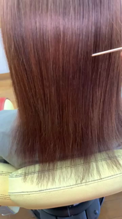 ついに始まった福井県ギャルソン様での「和漢彩染」企画の記事動画